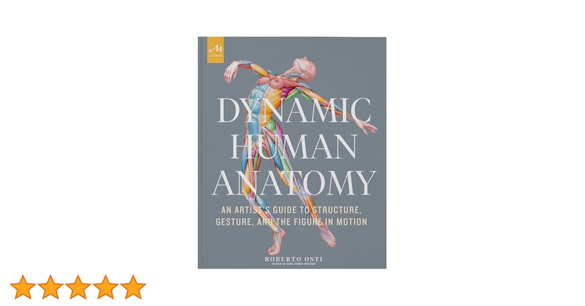 Dynamic Human Anatomy: An Artist's Guide to Structure